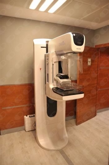 Elena Fernández Sánchez-2