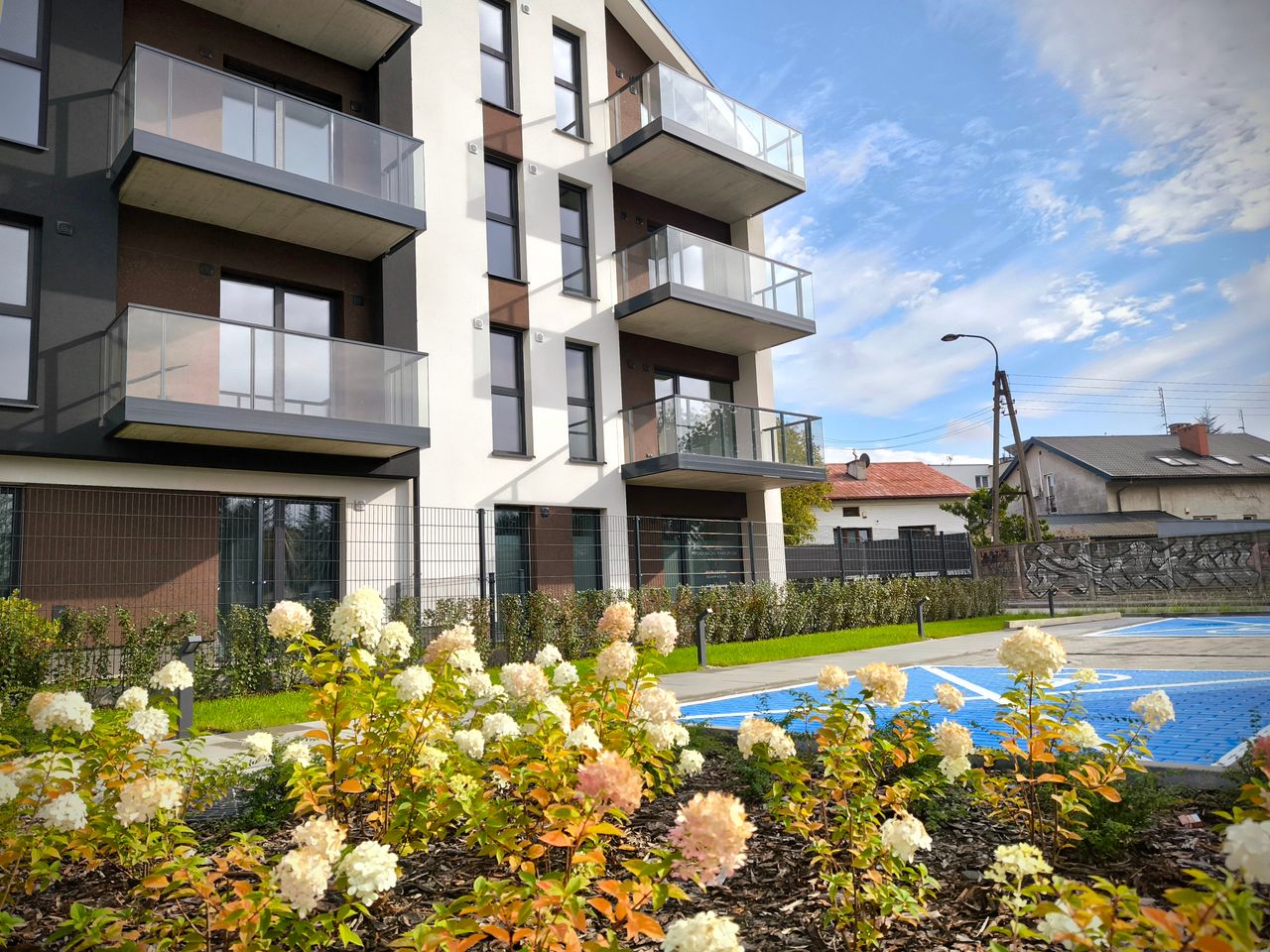 Monika Kołodziejek-1