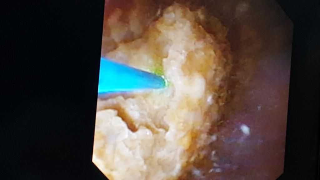 Josep Maria Auguet Martín-13