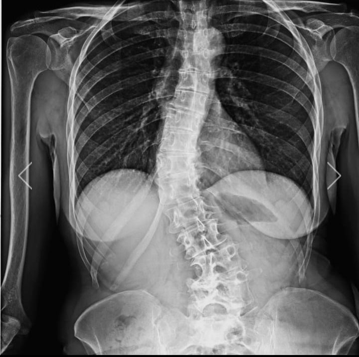 Stefania De Trane-12