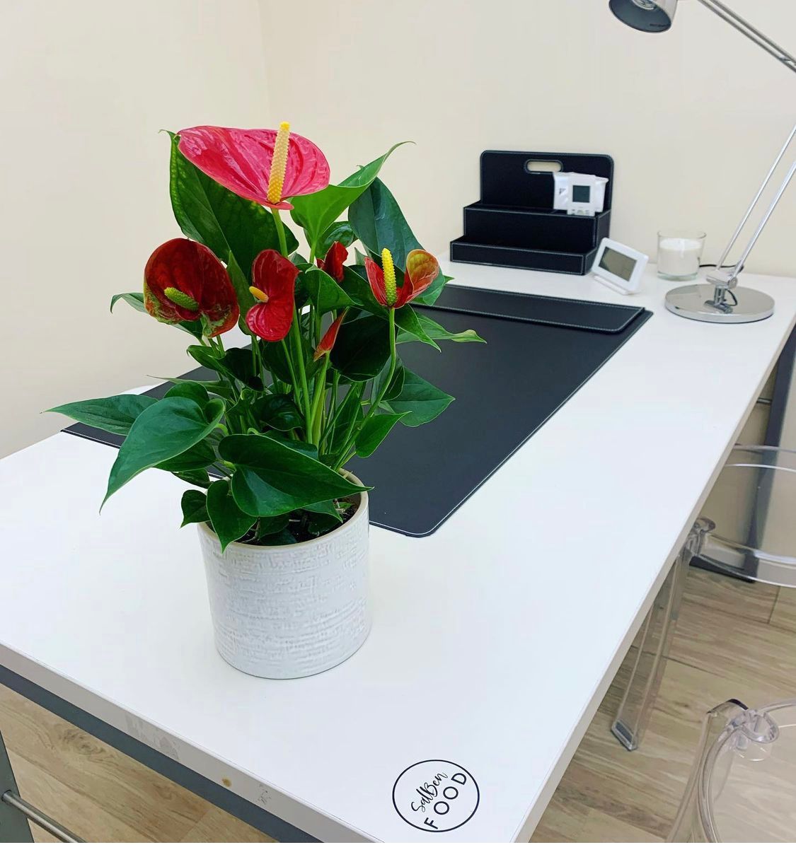 Alessandro Solidoro-1