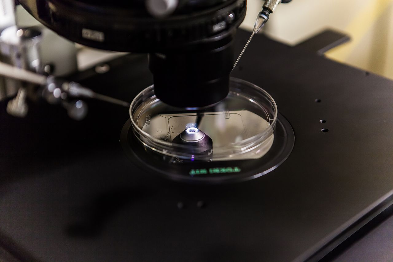 Paloma Medrano Martín-7