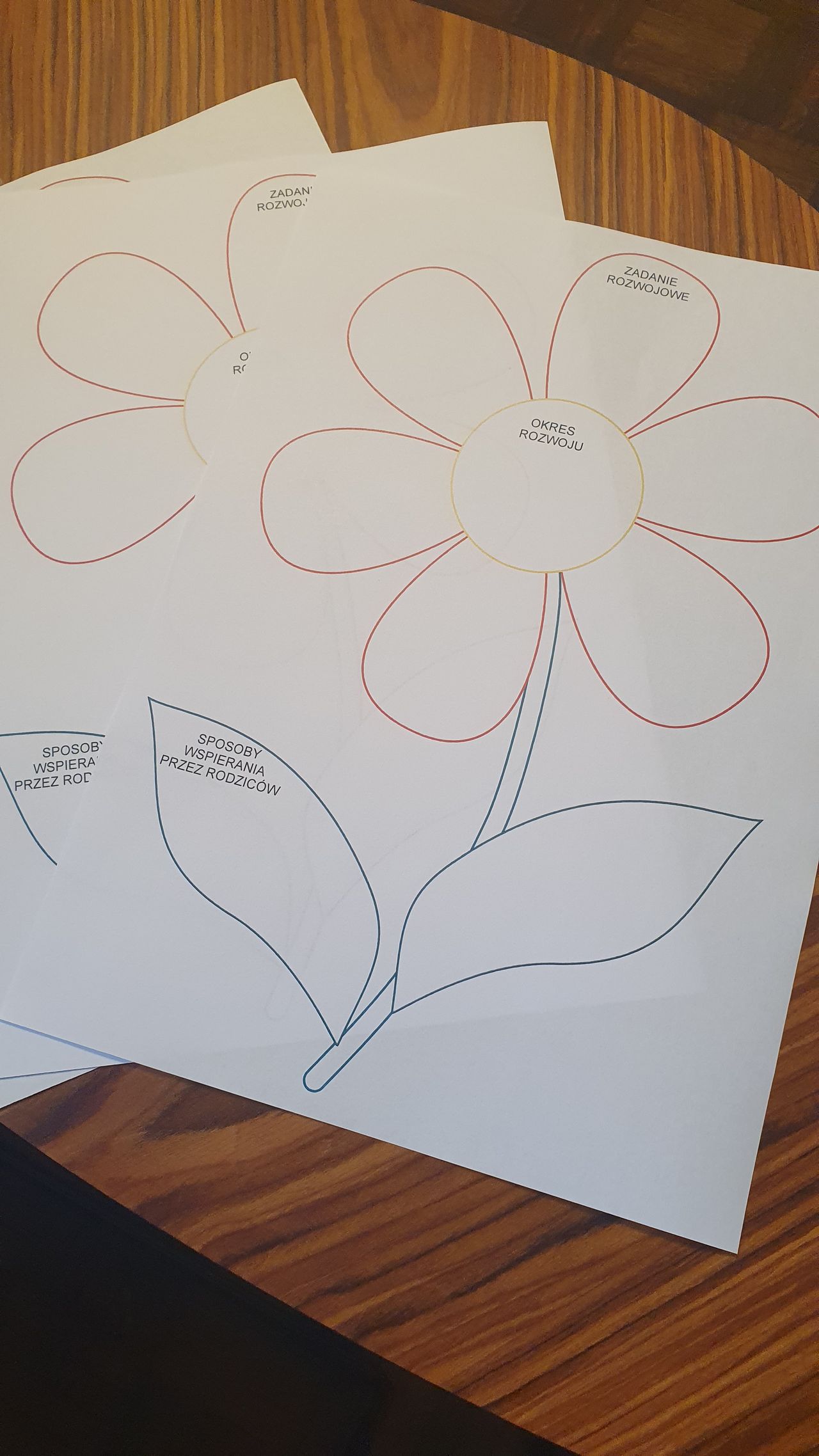 Patrycja Walenczak-6