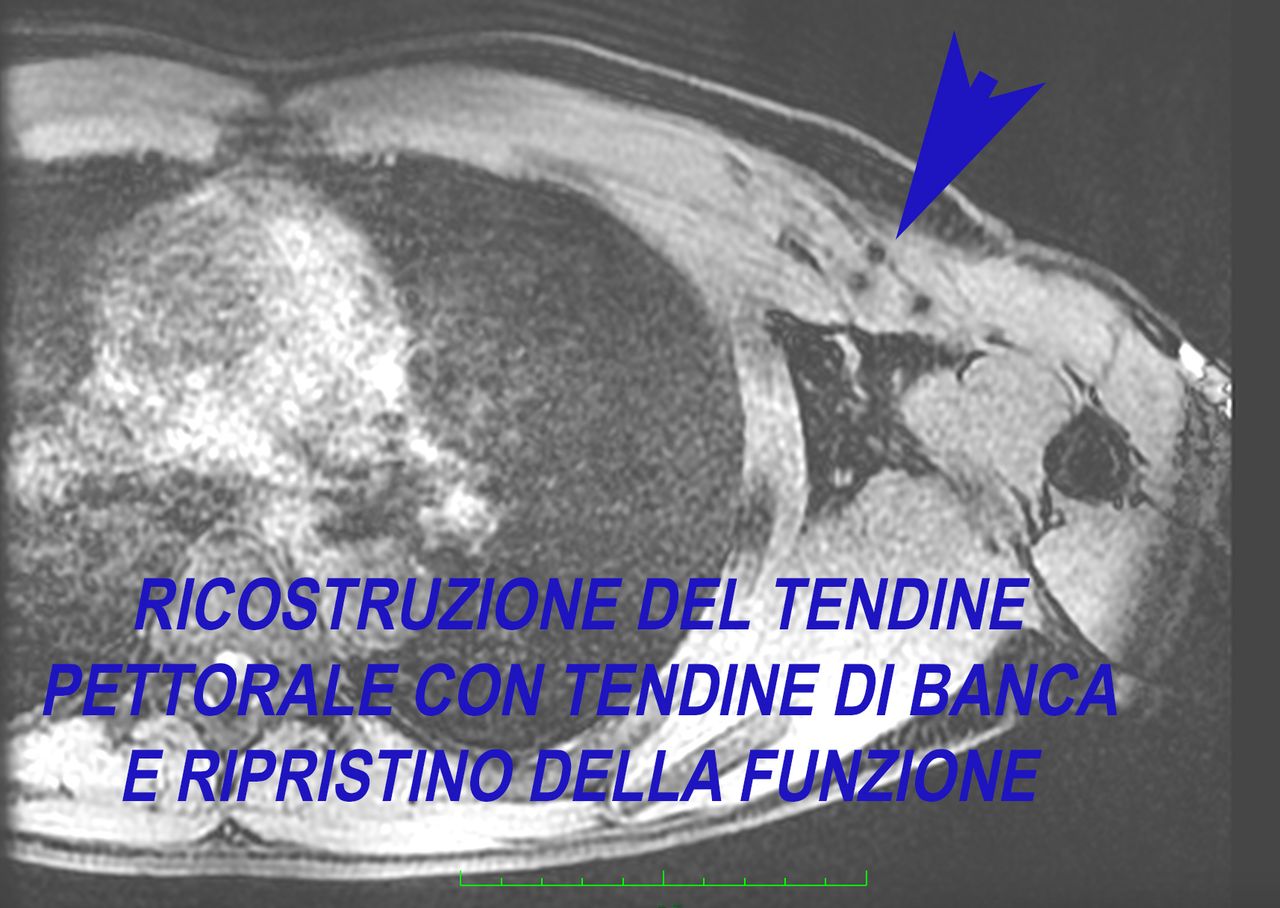 Davide Corrado Vaccarisi-15