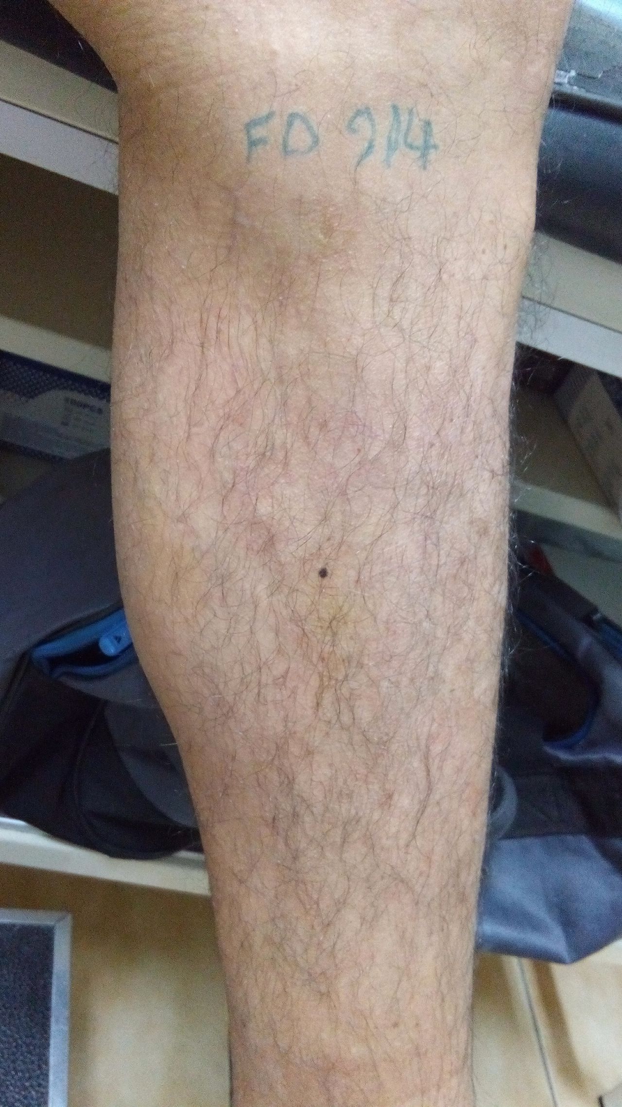 Arnaldo Strazzaboschi-8