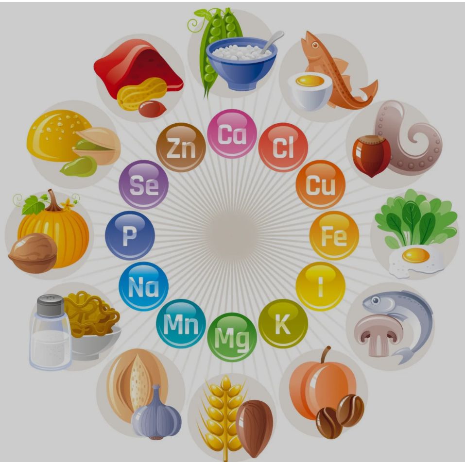 Valentina D’onorio De Meo-14