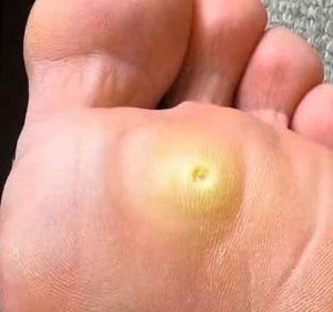 Francesca Montaquila-5