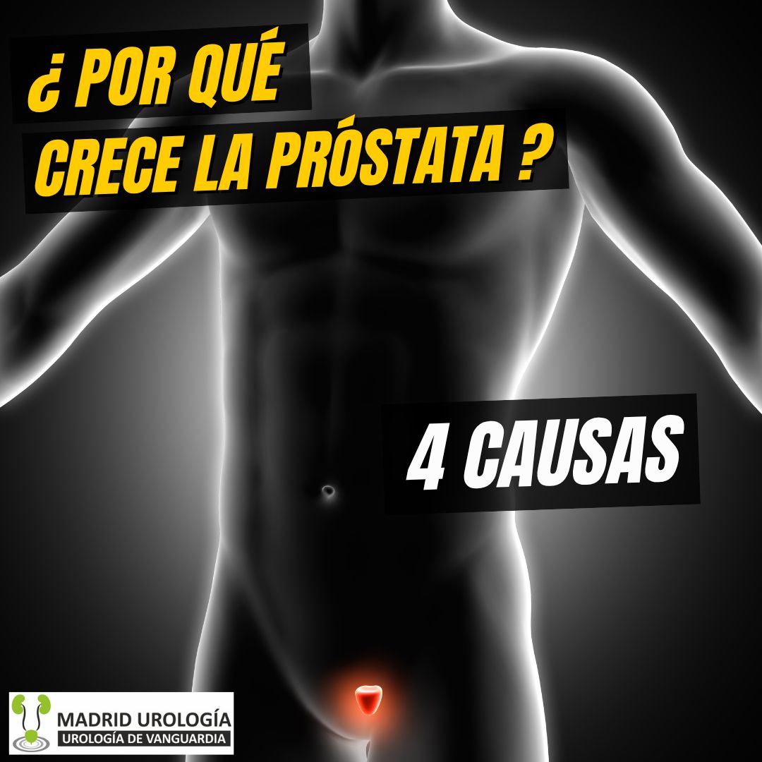 Luis Fernando Susaníbar Napurí-78