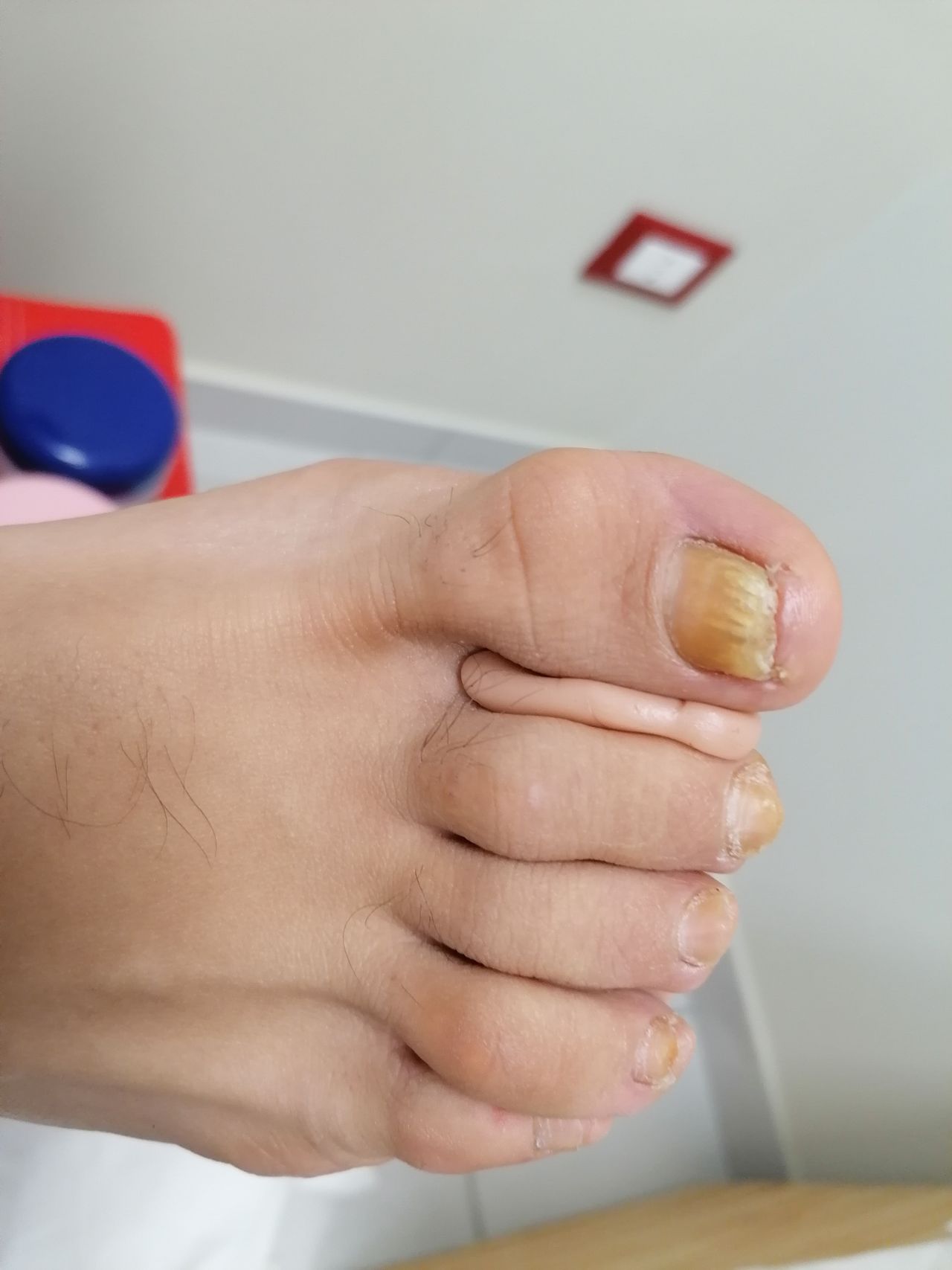 Kassandra Nicolosi-282