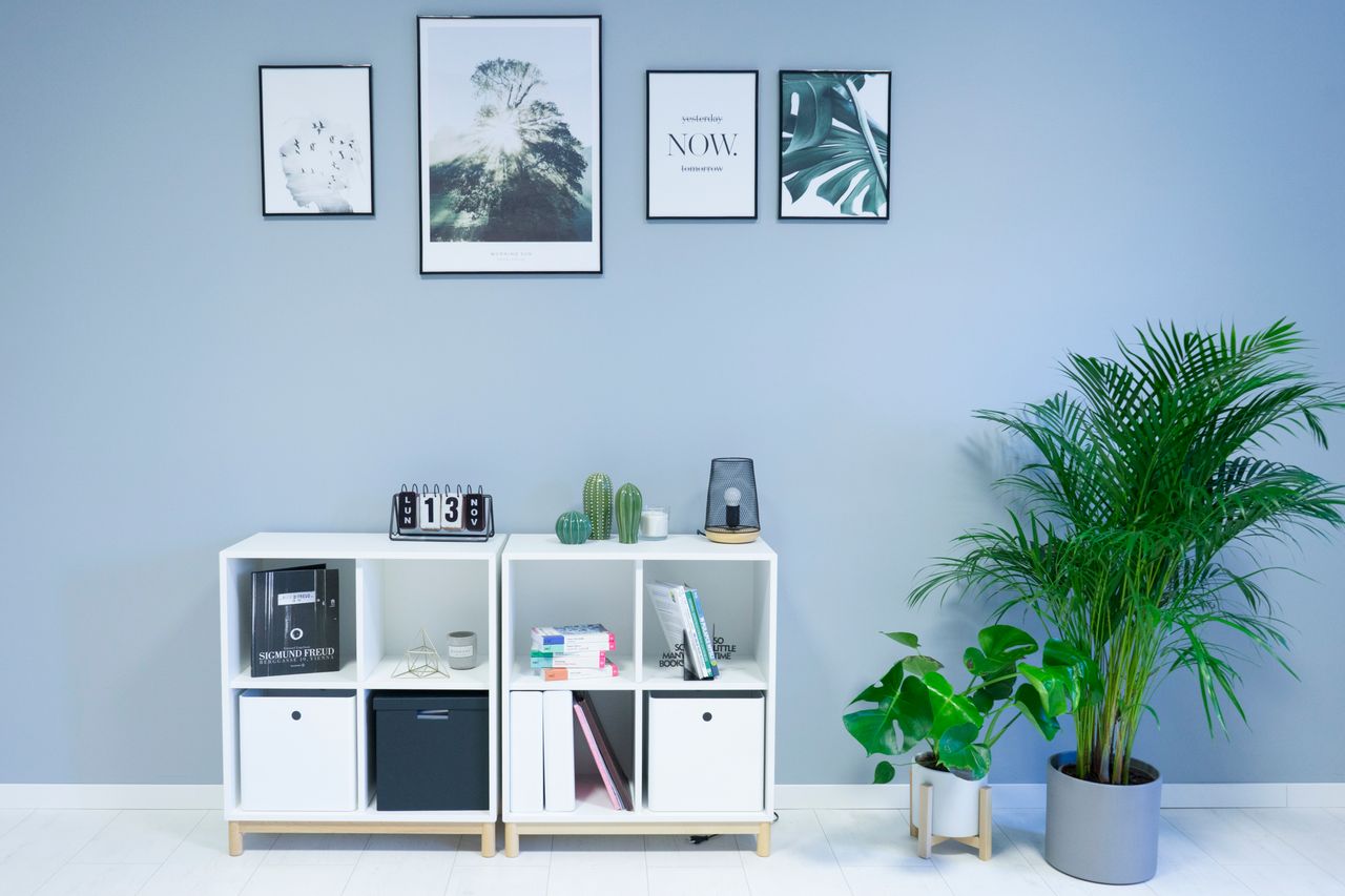 Magdalena Kicińska - Kukawka-2