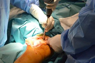 Adrian Anghel Florin-5