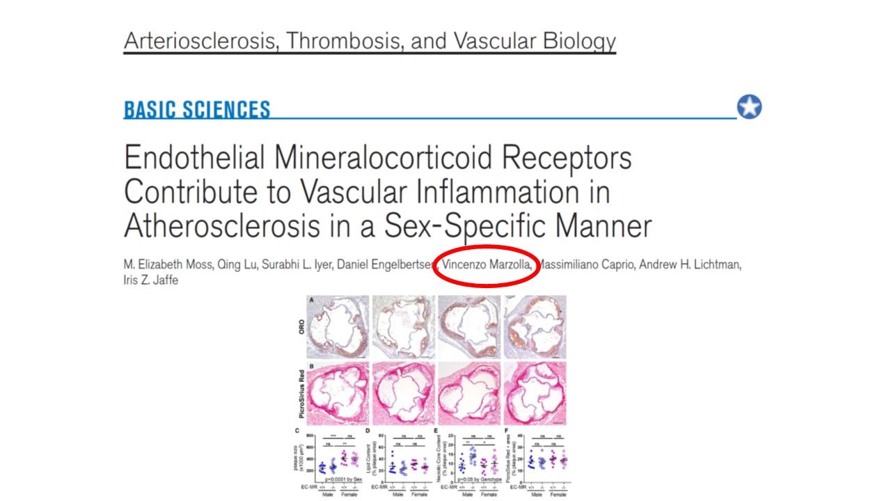 Vincenzo Marzolla-28