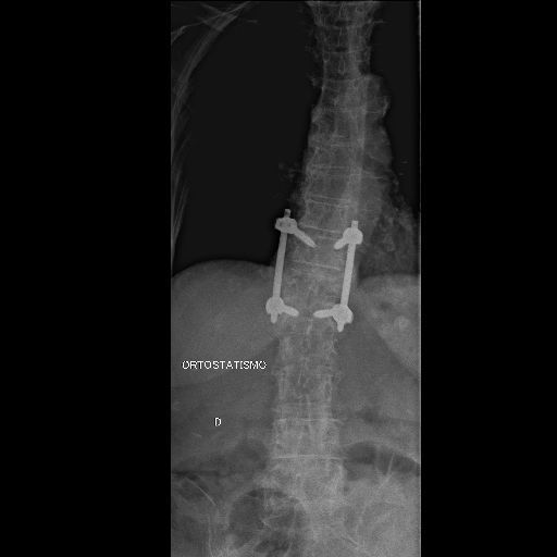 Valerio Cipolloni-30