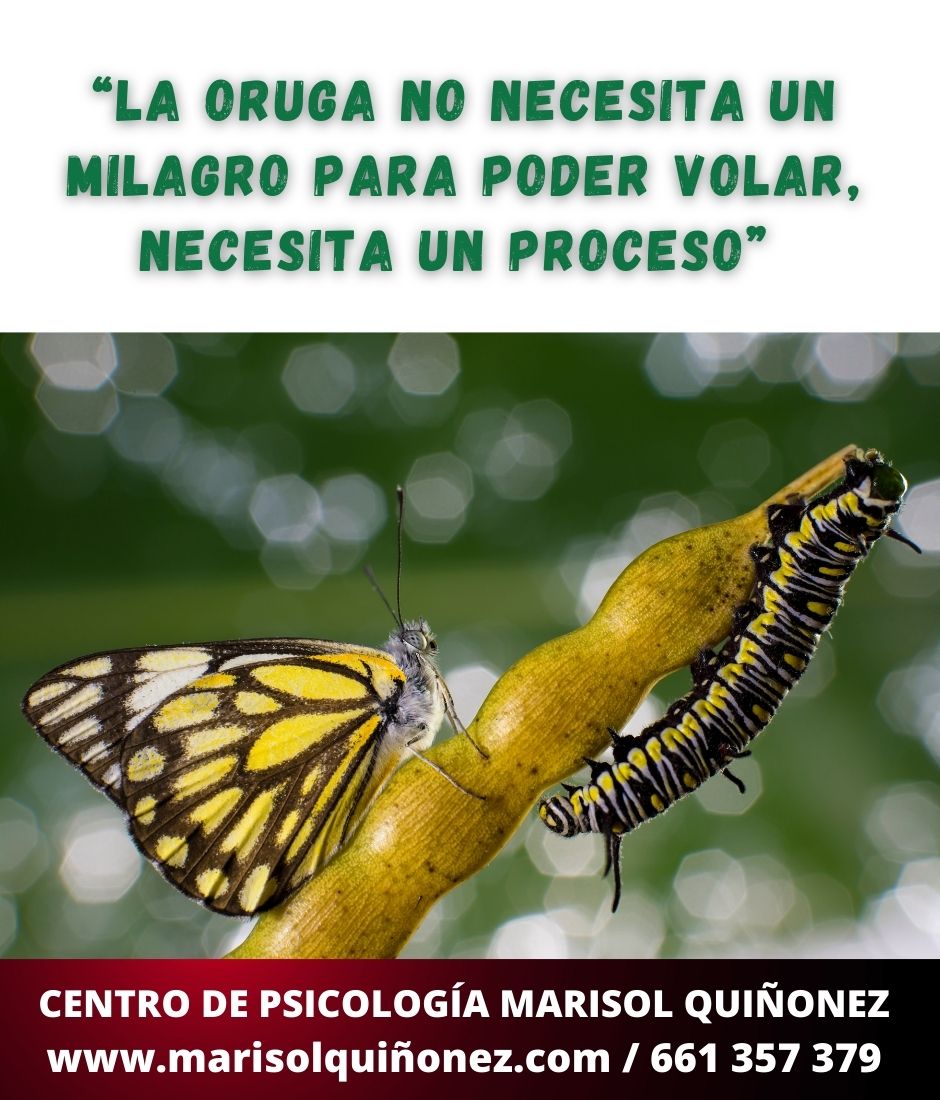 Marisol Quiñonez Quintero-76