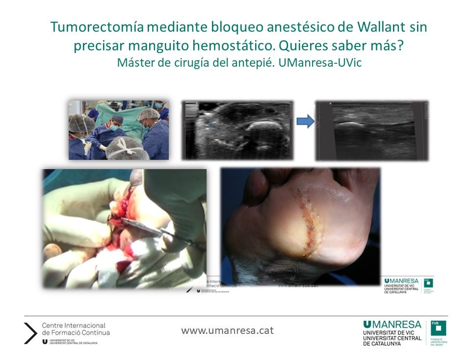 Joan Lozano Freixas-10