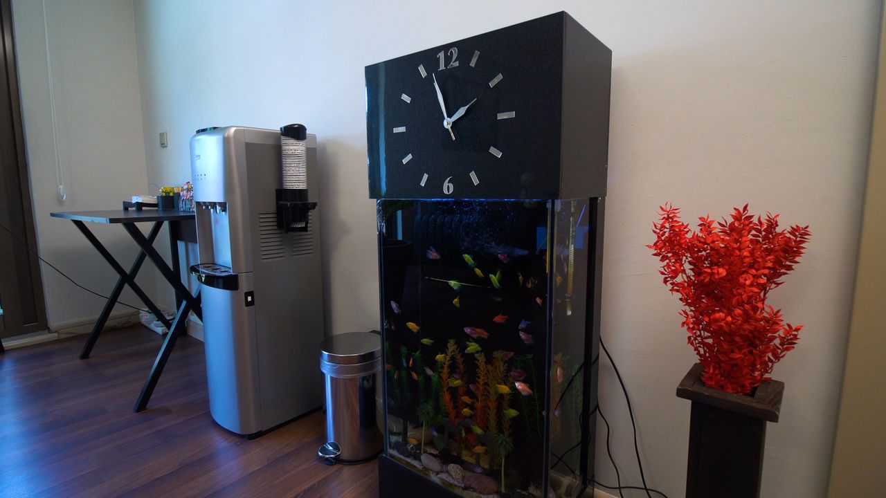 Muhammed Yalçın-30