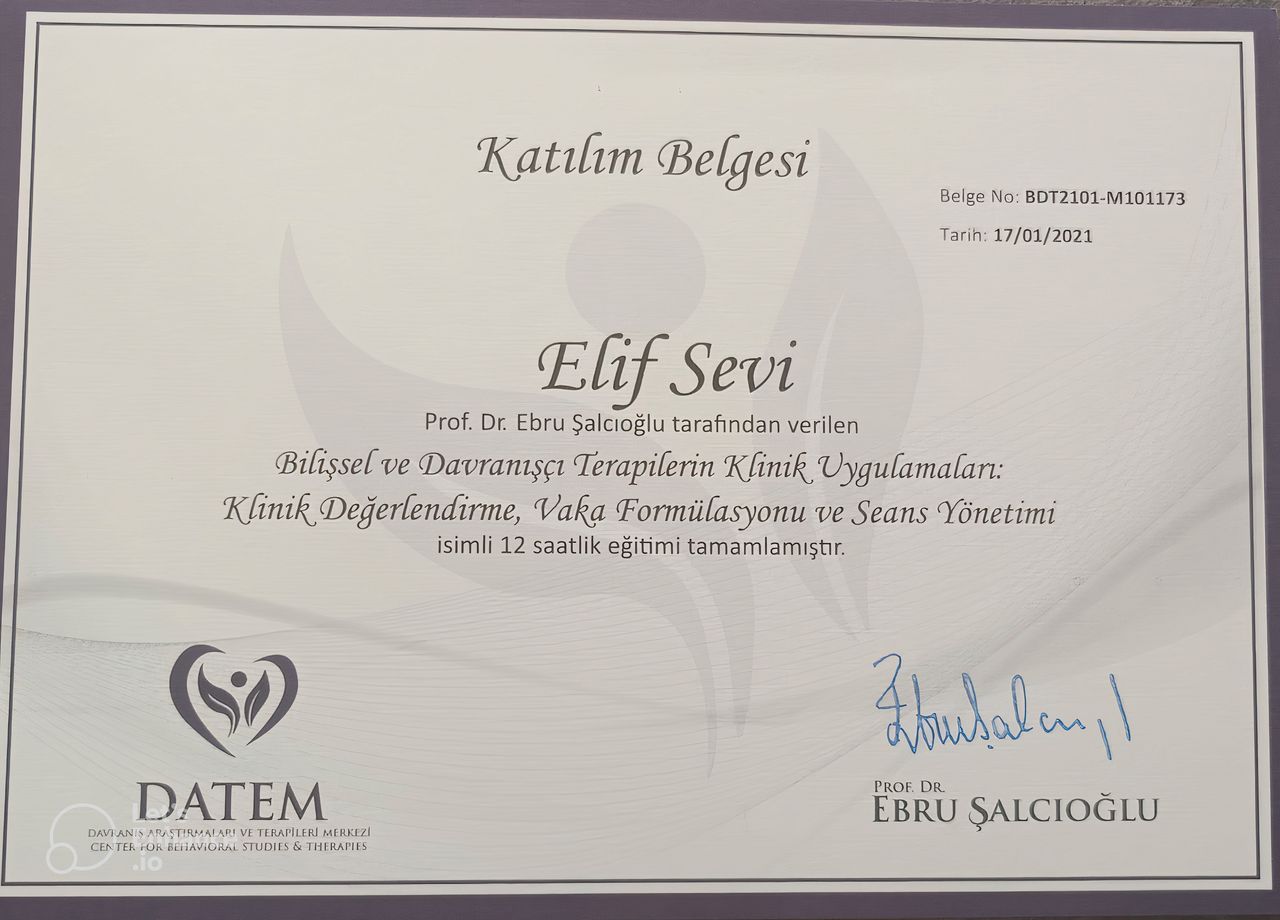 Elif Sevi Adıgüzel-13