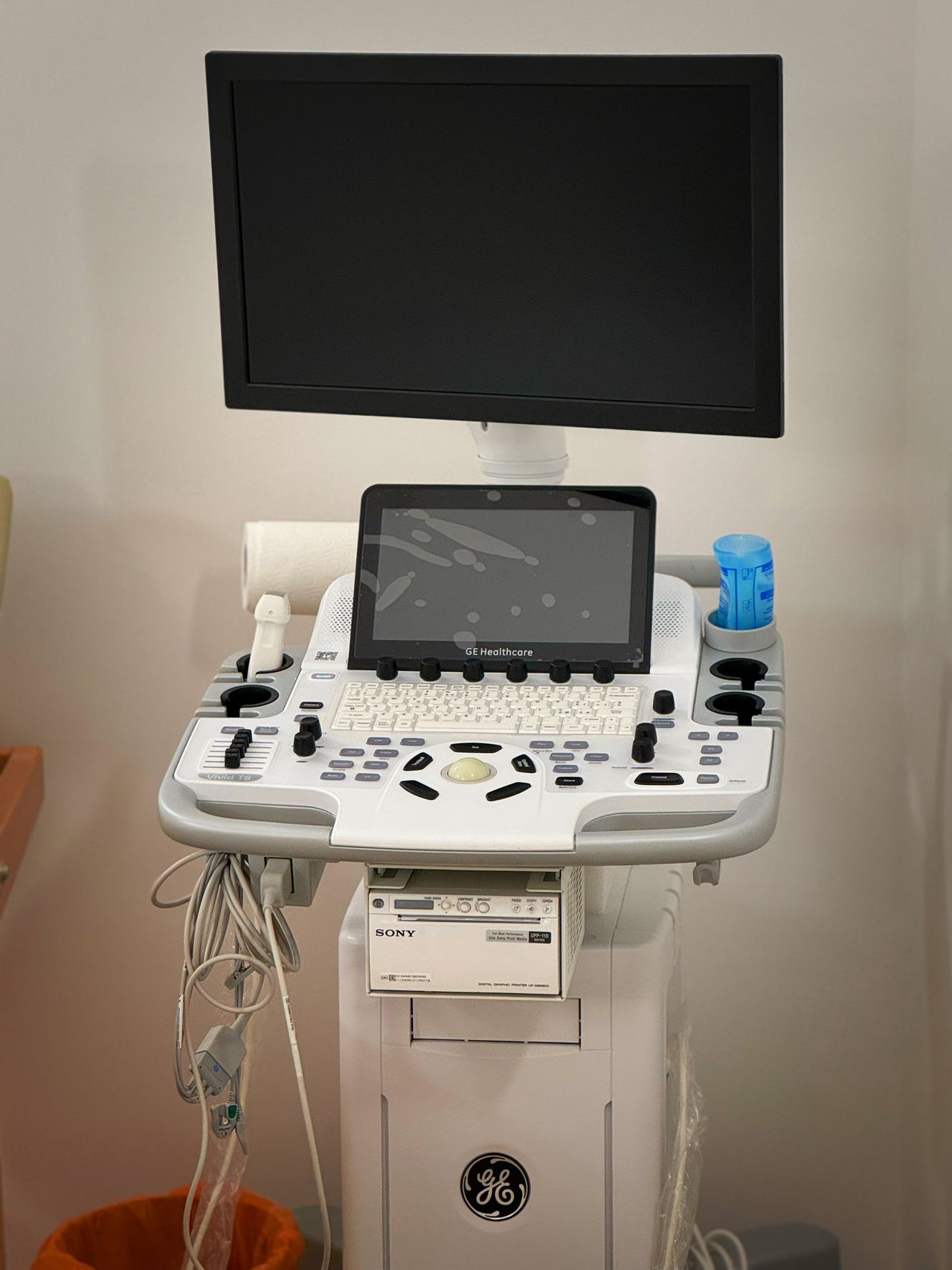 Valentina Petronilli-3