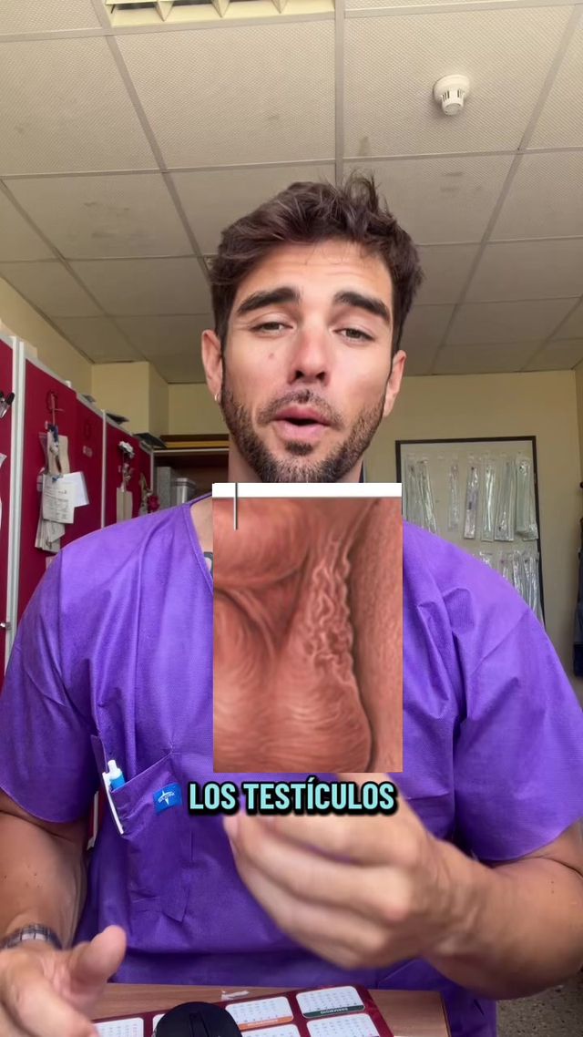 Alejandro Cardenas Fernández-4