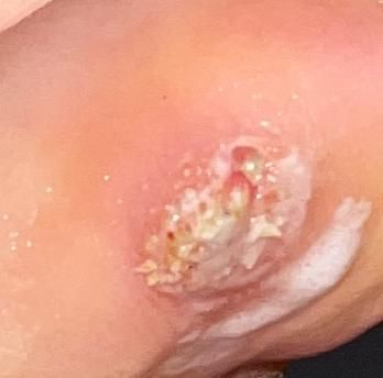 Kassandra Nicolosi-201