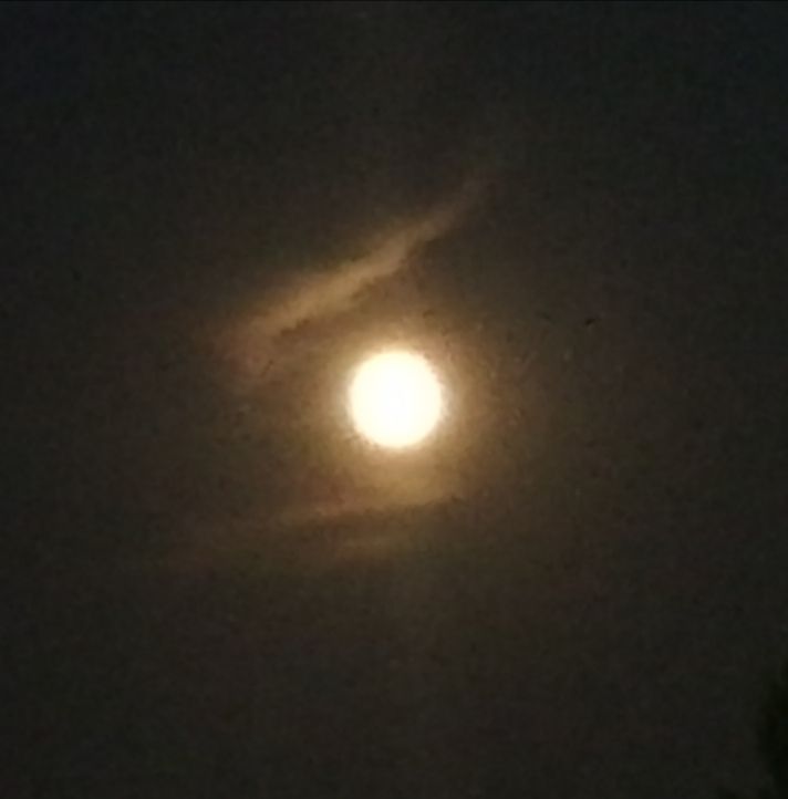 Bonaventura Luciano Manglaviti-13