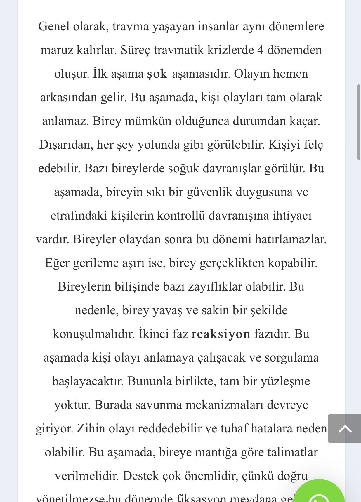 Dilara Ocak-2
