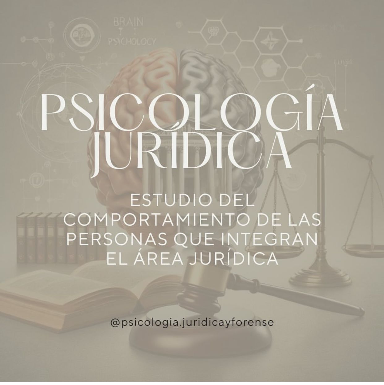 María Del Pilar Gonzalez Lozano-4