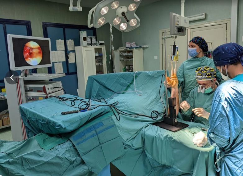 Francesco Smeraglia-2