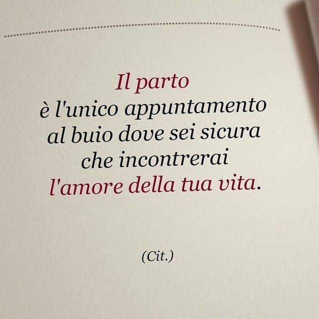 Vincenzo Massimo Prestia-14