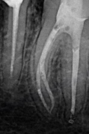 Bartosz Szczepanik-6