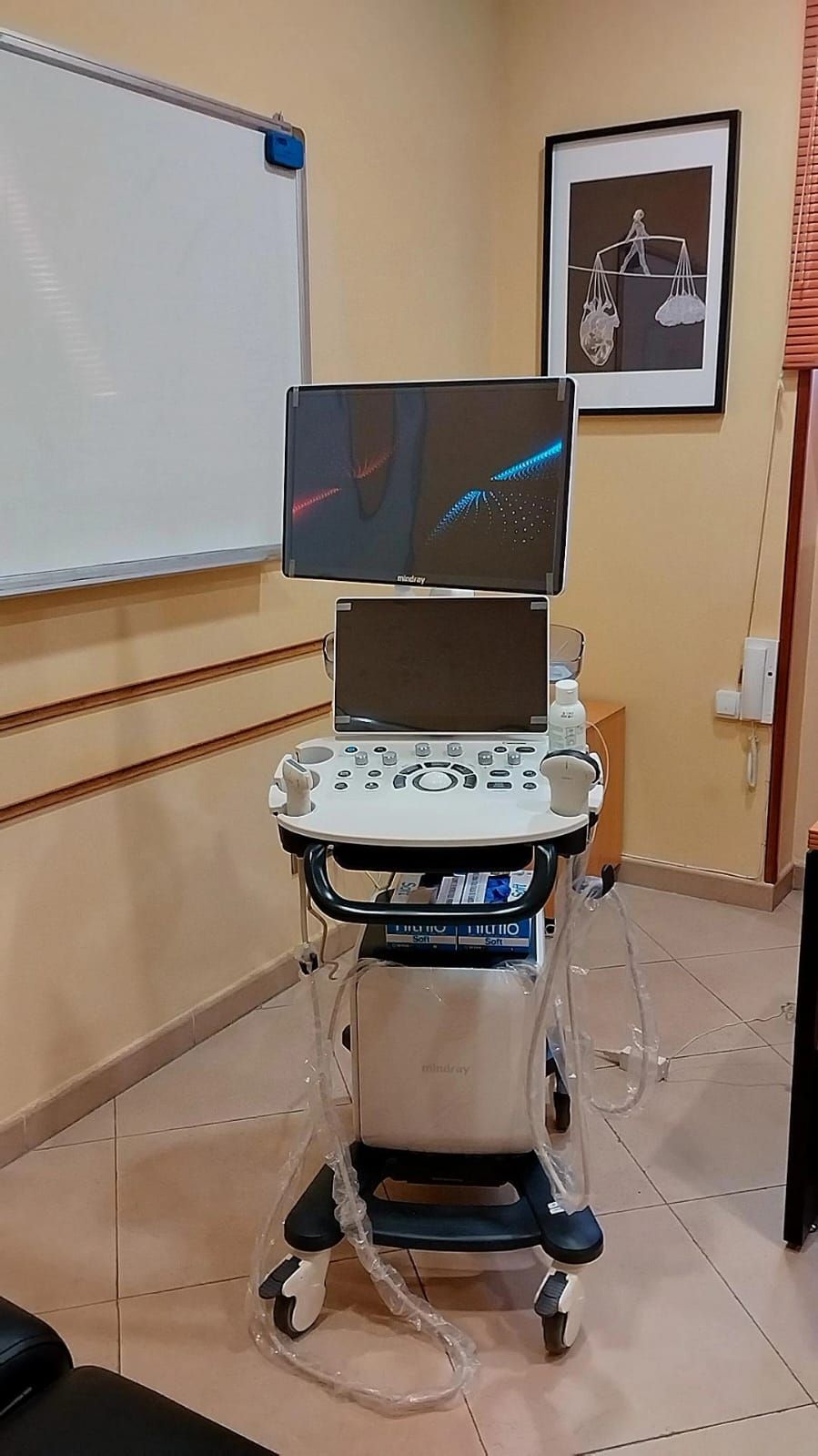 Carlos Arce Sánchez-5