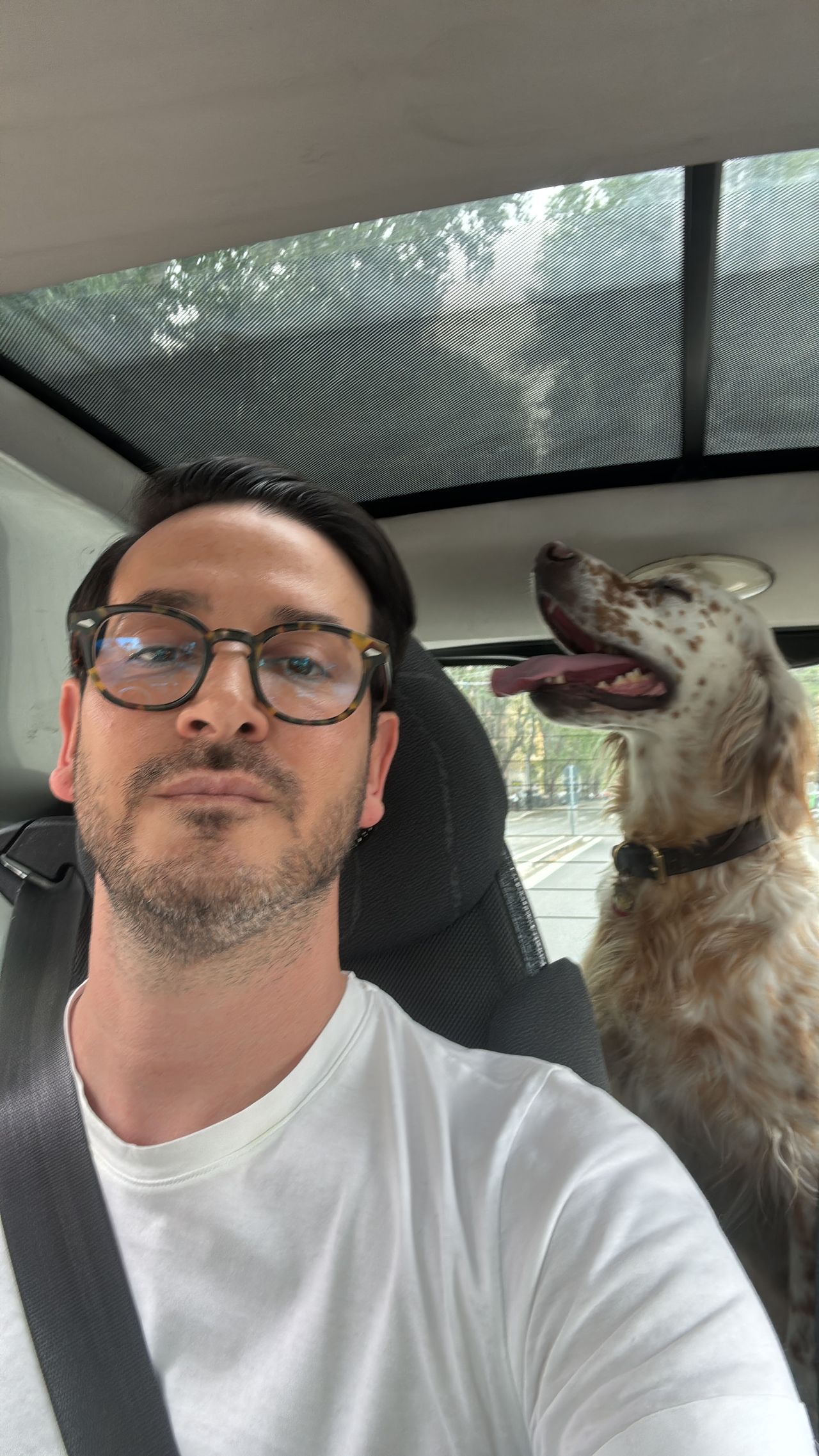 Giordano Vespasiani-5