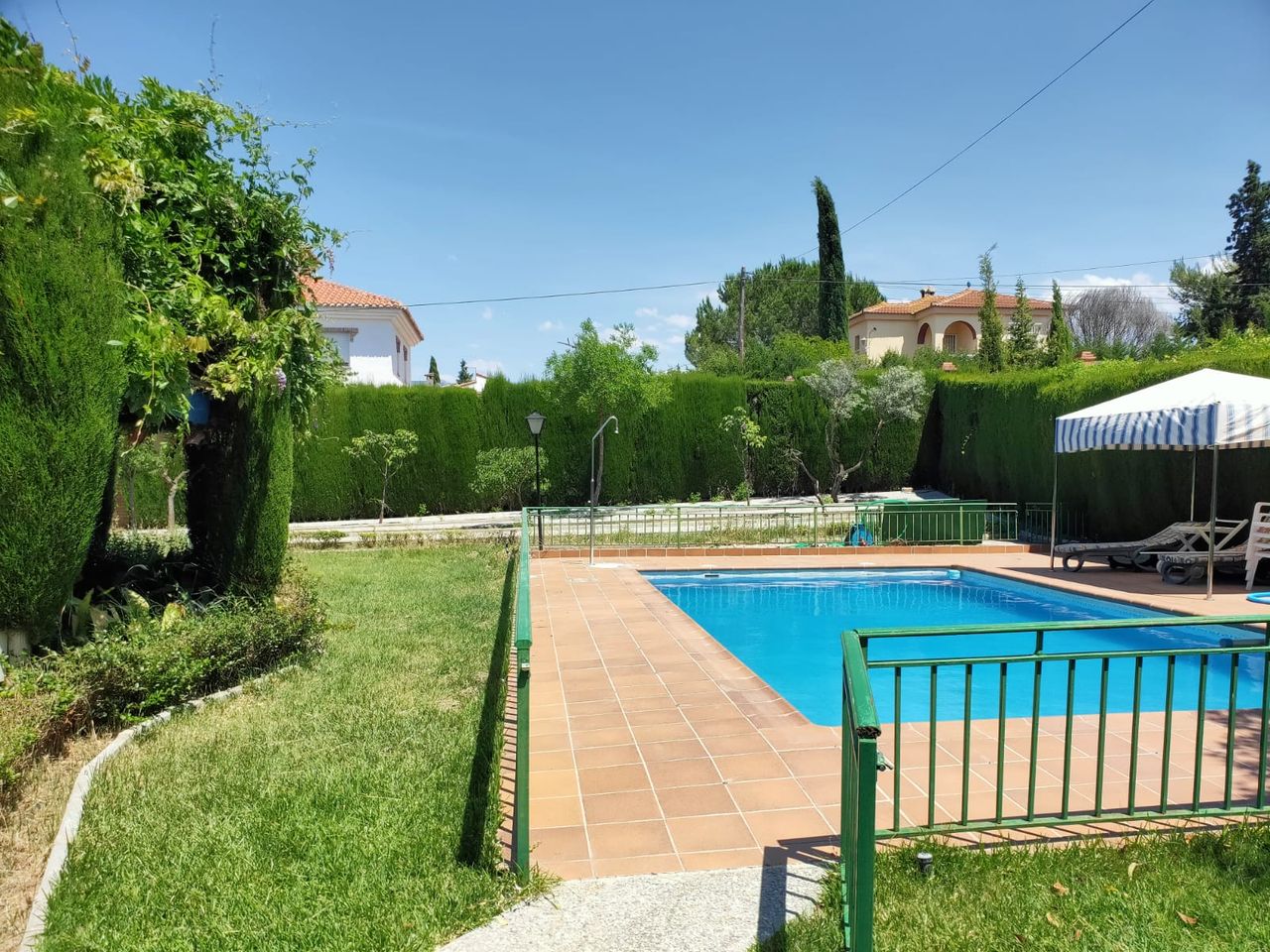 Lola Peña Martos-10