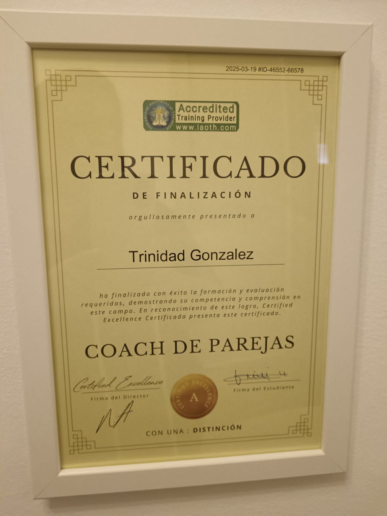 Trinidad Gonzalez-11