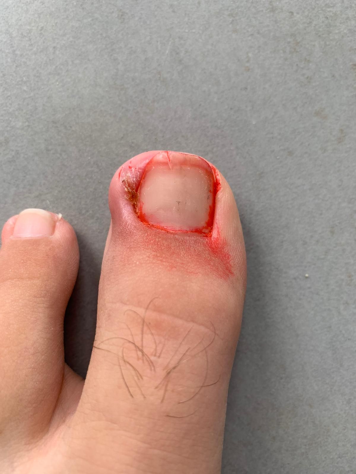 Kassandra Nicolosi-215