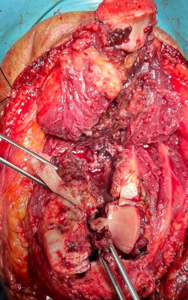 Manel Panadero Moncusi-7