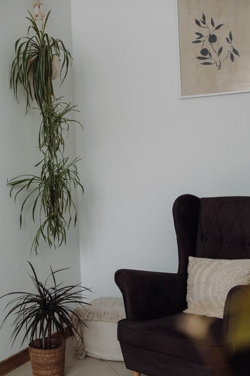 Agnieszka Jarosz-Kosakowska-6