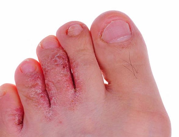 Francesca Montaquila-4