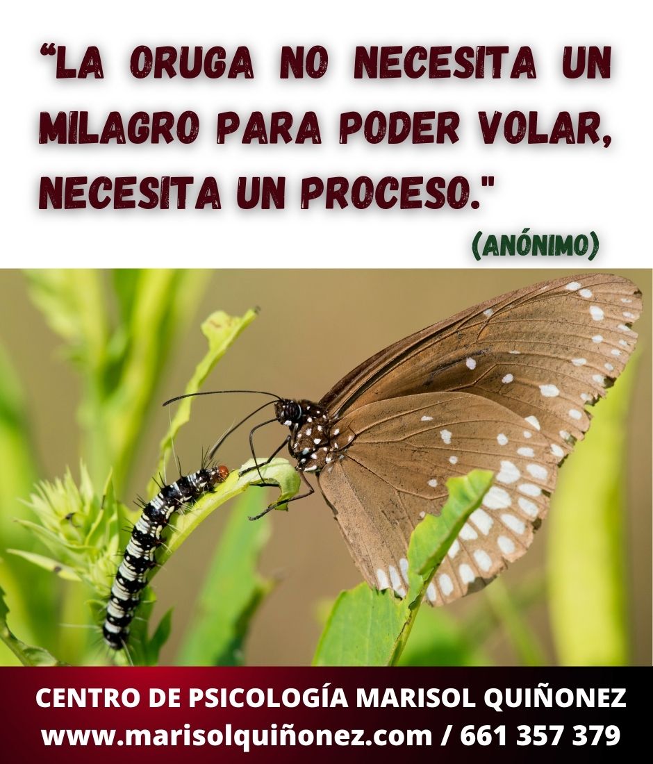 Marisol Quiñonez Quintero-36