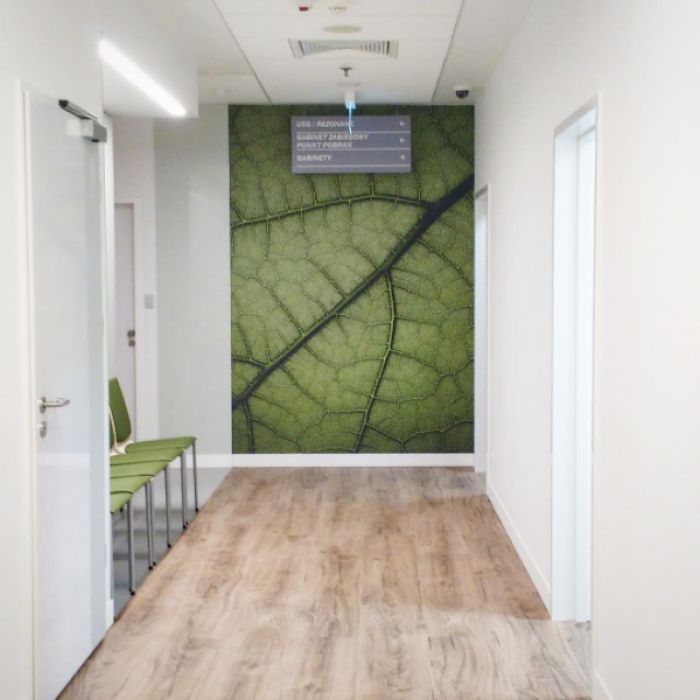 Monika Carmen Krawczyk Zamojcin-2