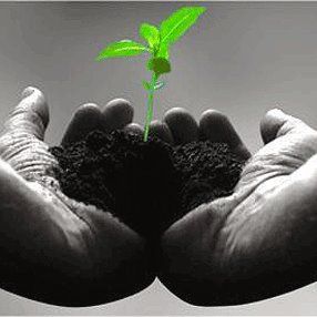 Fernanda Palenzuela Moral-2