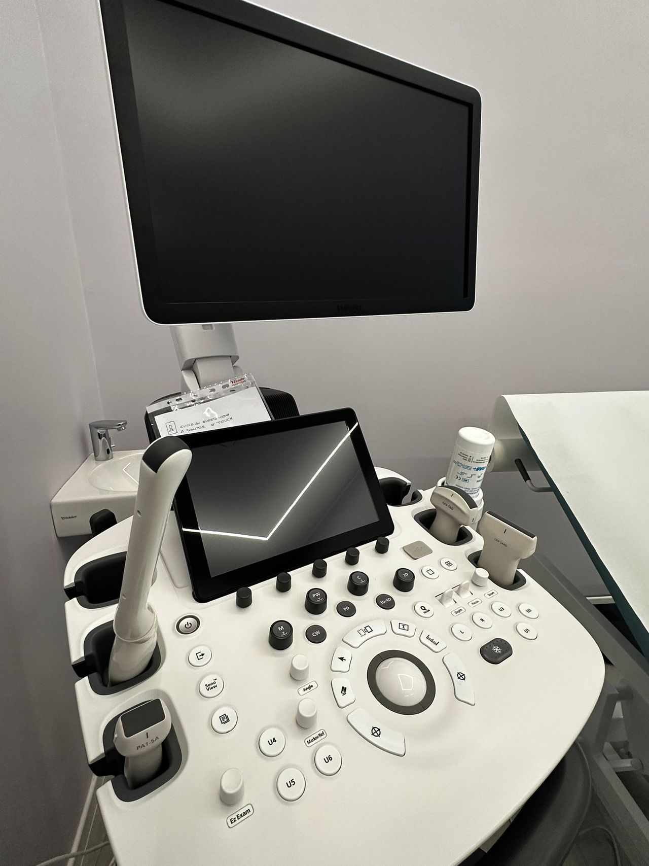 Cecilia Pellegrino-0