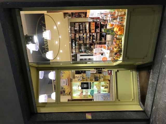 Manuela Campiglio-15