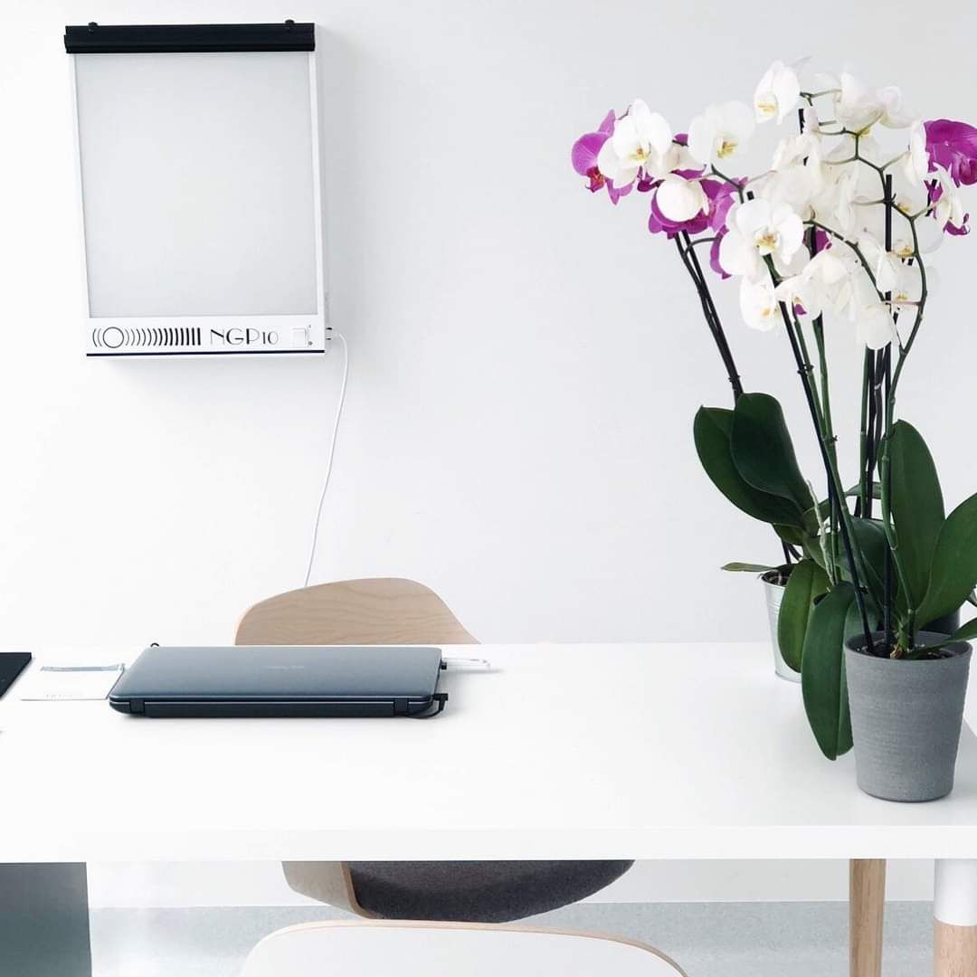 Anna Wiśniewska-Szymańska-3