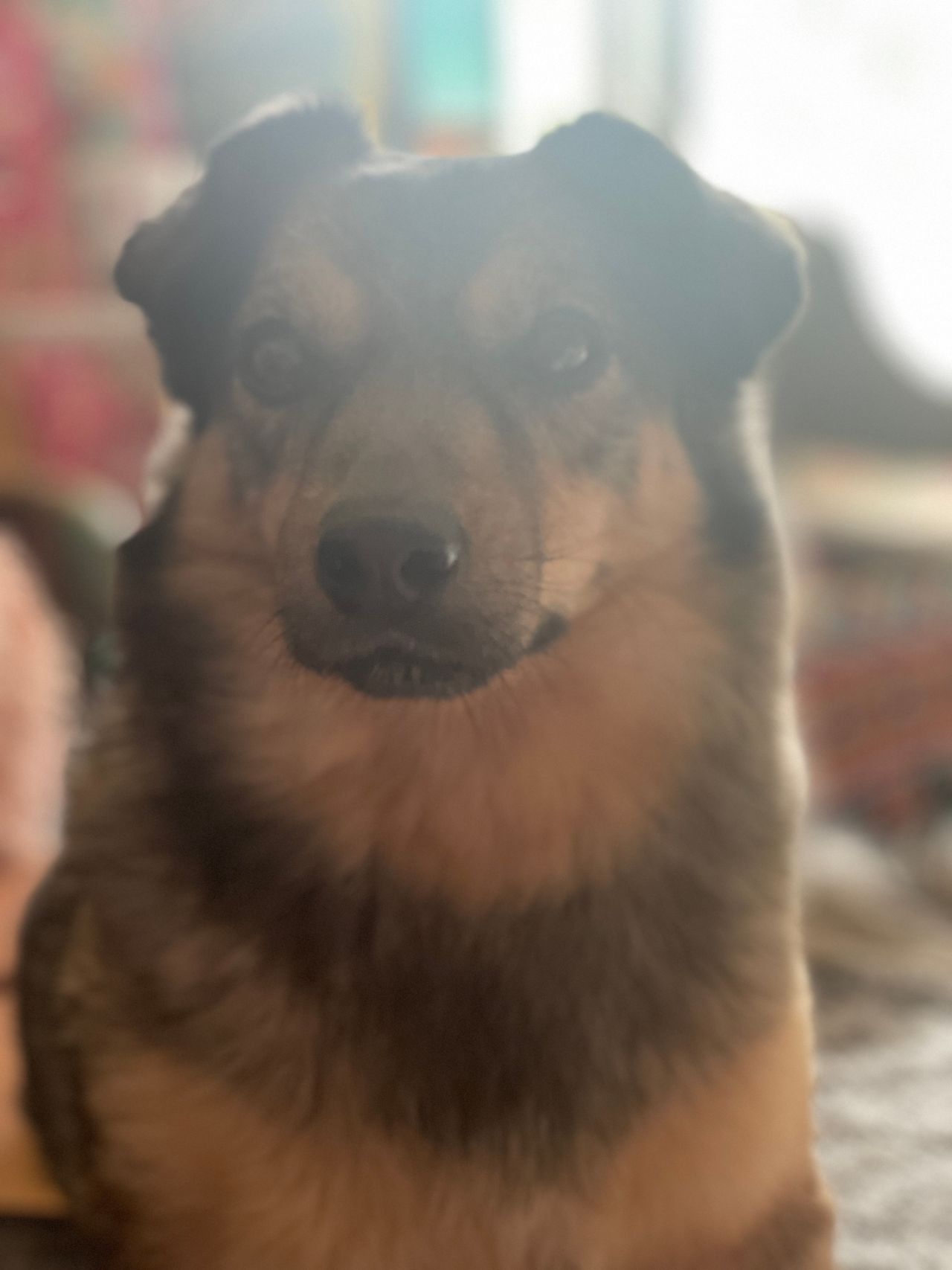 Barbara Piwek-Jewtuch-2