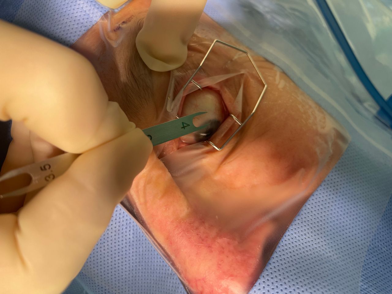 Maria Concetta Ferraro-4