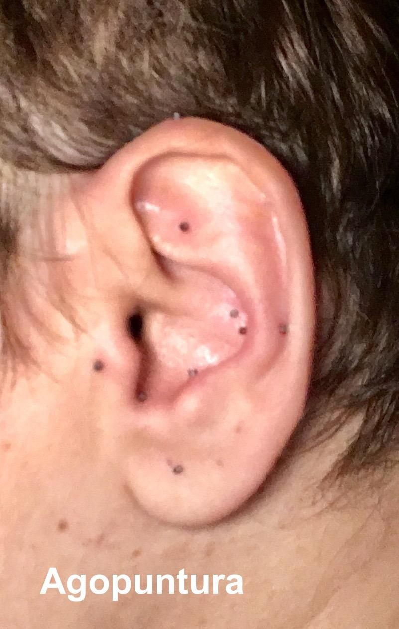 Michelina Borrelli-13