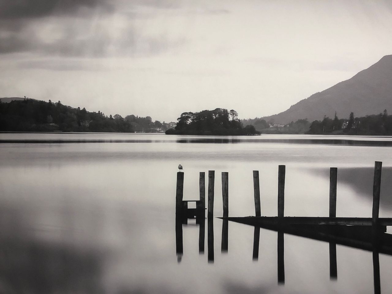 Mercedes Alberola Gómez-31