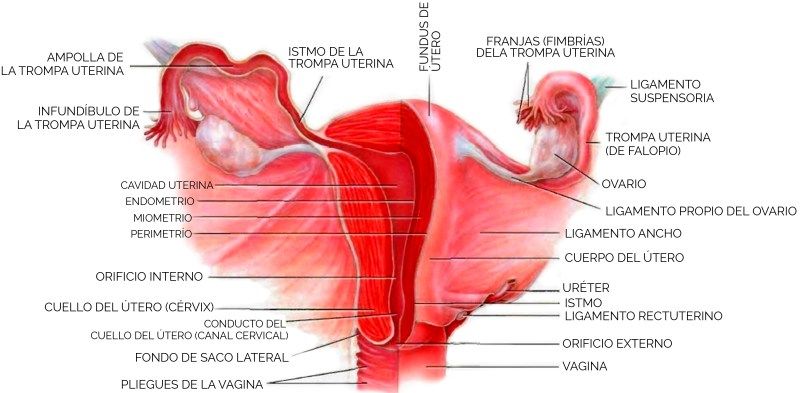 Maria Josefa Martinez Payá-0