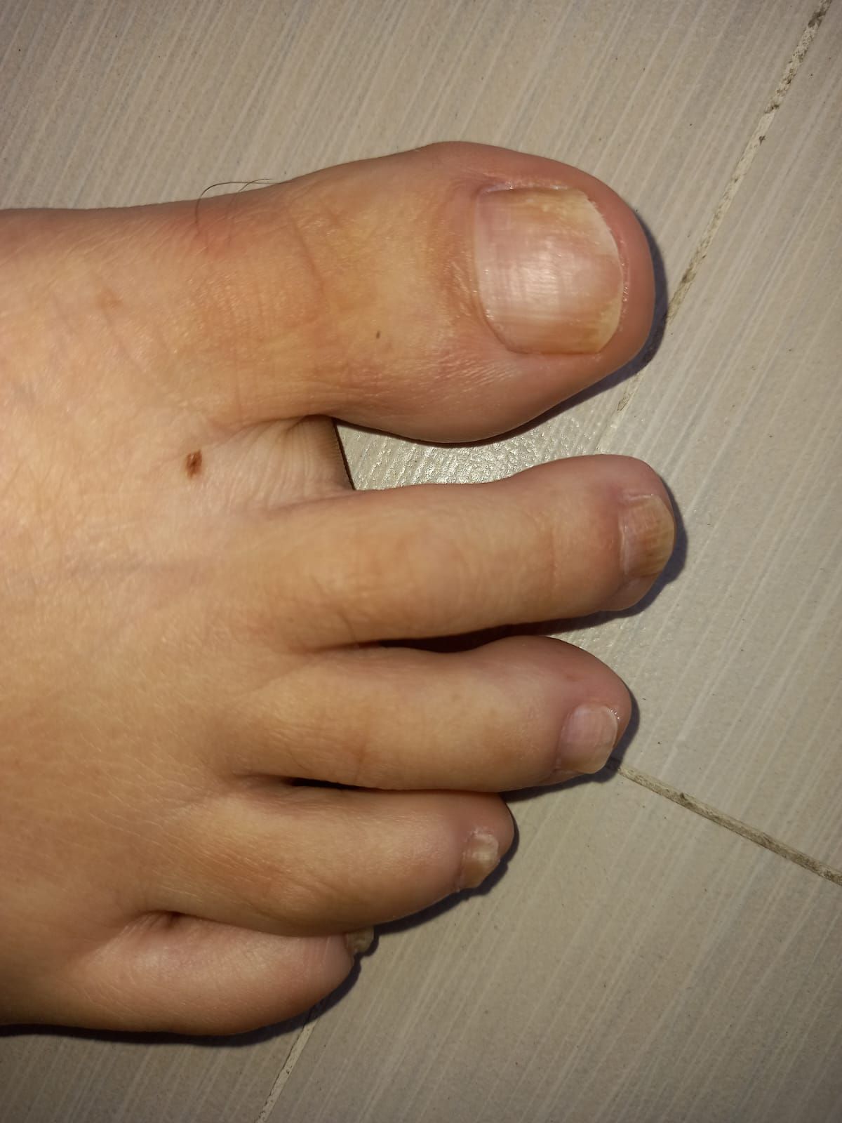 Kassandra Nicolosi-157